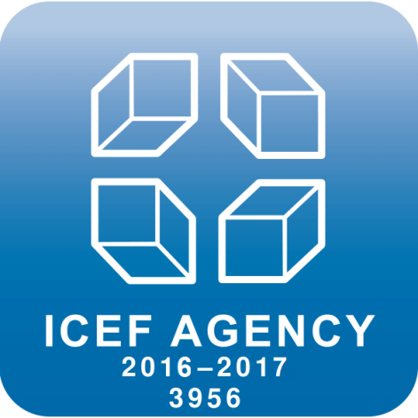 ICEF 2016-2017 (Code No:3956)