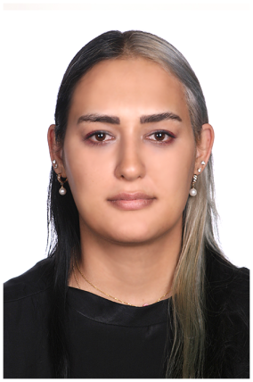 ساناز دوستی